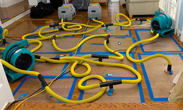 Professional Water Damage Restoration technician working in Tecumseh, OK